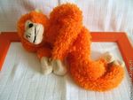 singe_orange
