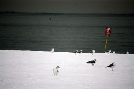 Coney_Island__2_janvier___74