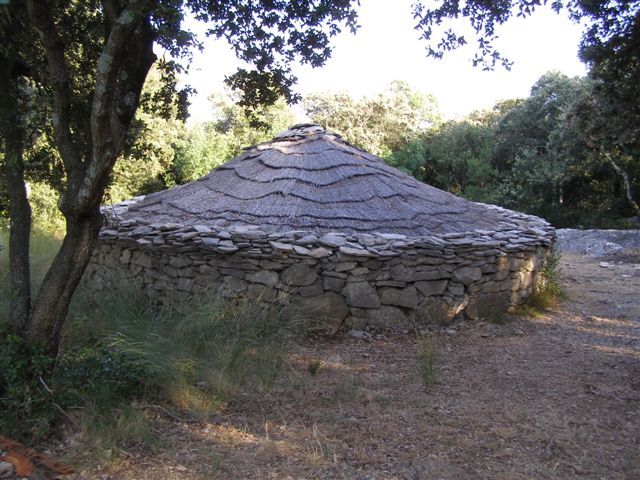 Site préhistorique de Cambous (44)