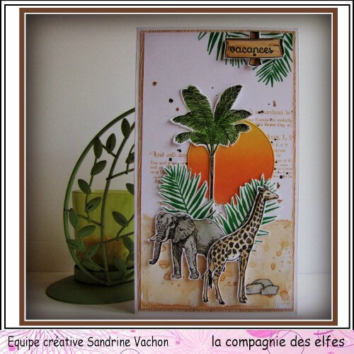 Carte animaux  VACANCES dt LCDE (1) - Copie - Copie