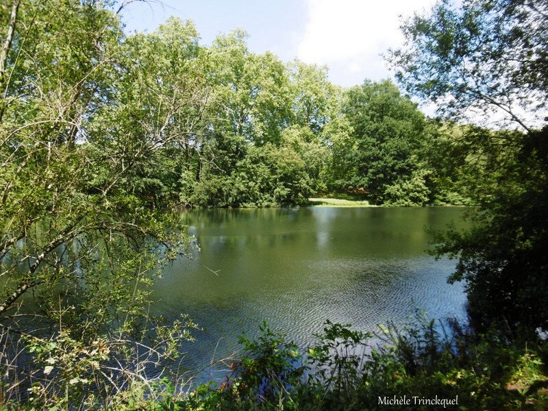 1-Balade Etang Bois de Boulogne 100719