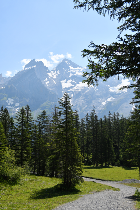 SUISSE_Oeschinensee_2