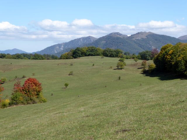 a32