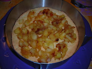 bavarois_caramel_2__1_