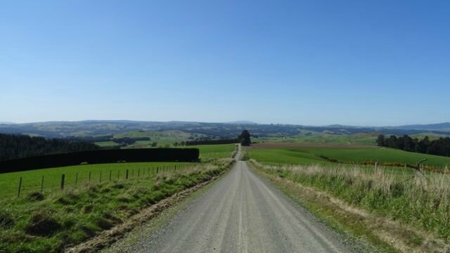 DSC00641