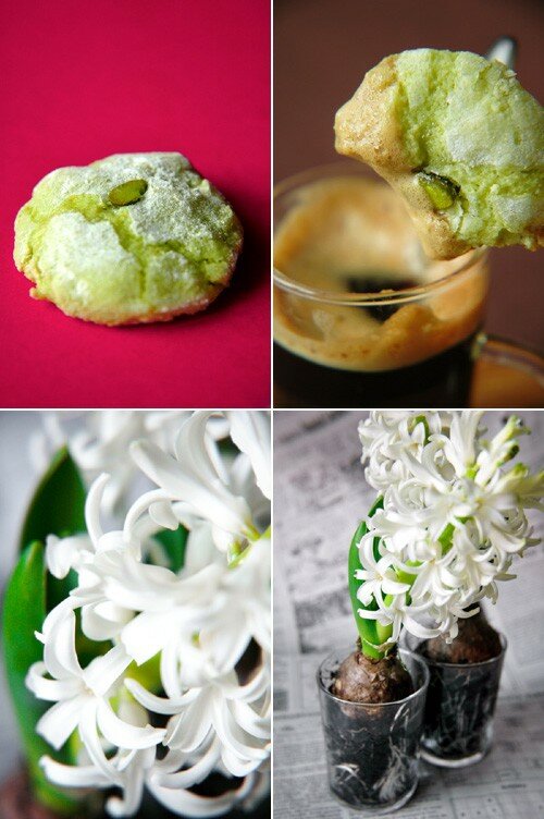 Biscuits macaronnés aux amandes et à la pistache recettes dessert Biscuits macaronnés aux amandes et à la pistache