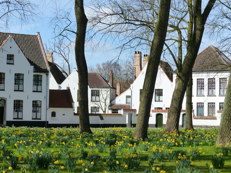 BRUGES le béguinage 27 mars 2015 (42)