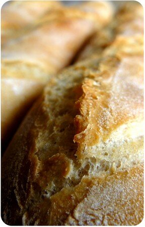 recettes Attention au levain! Que faire quand il fait chaud.