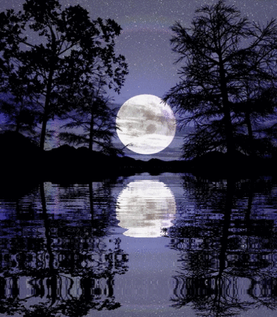 refletlune