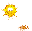 62913720