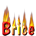 brice_fire