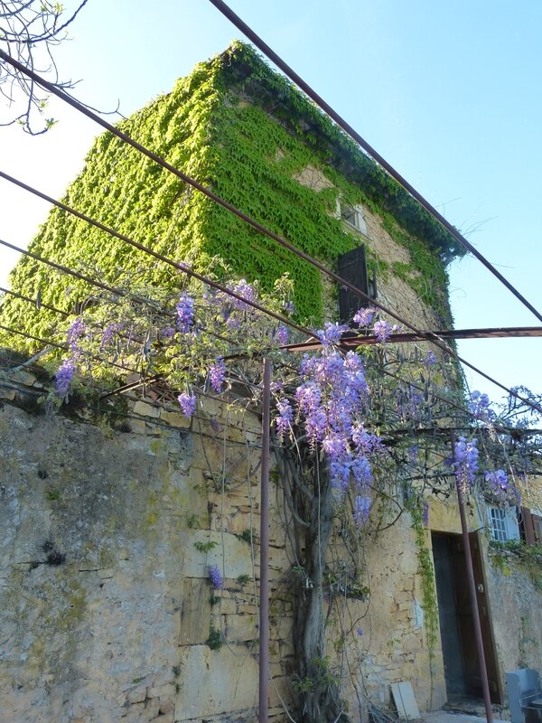 P1230070