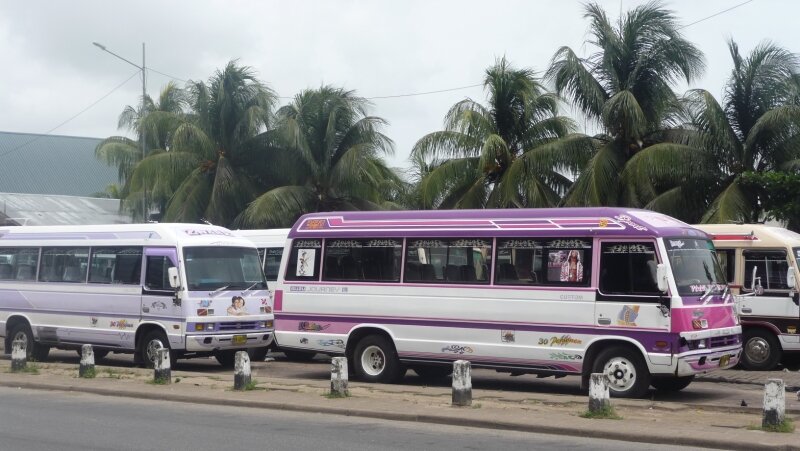 Centre-ville, les bus locaux