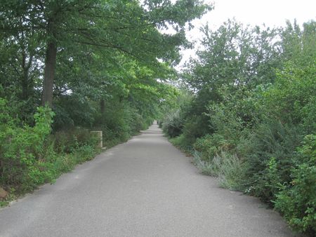 priest parc vuens-NS allee