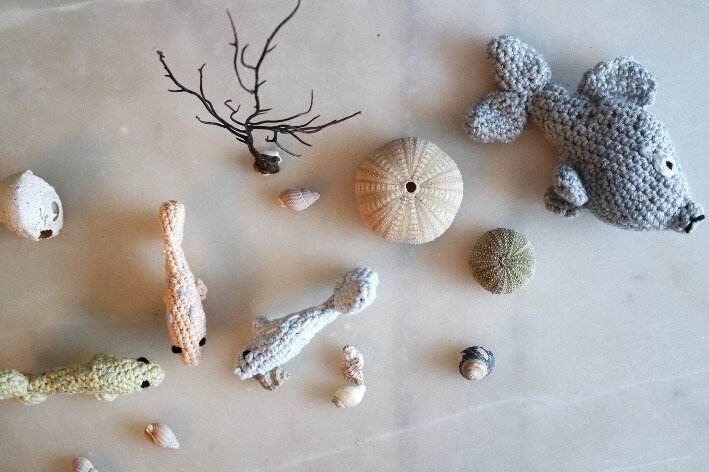 poisson crochet19