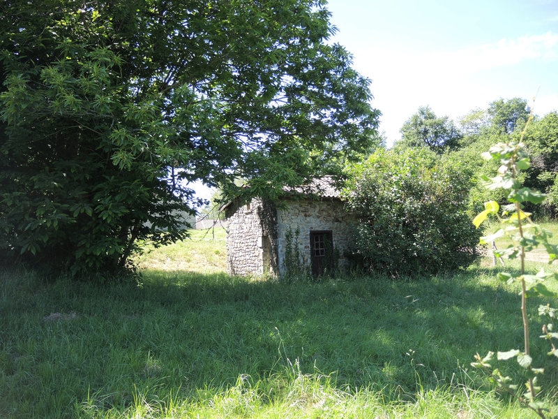 Courbefy, maison abandonnée et végétation (87)