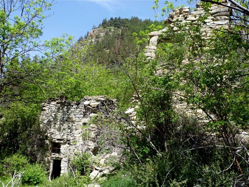 P1140915