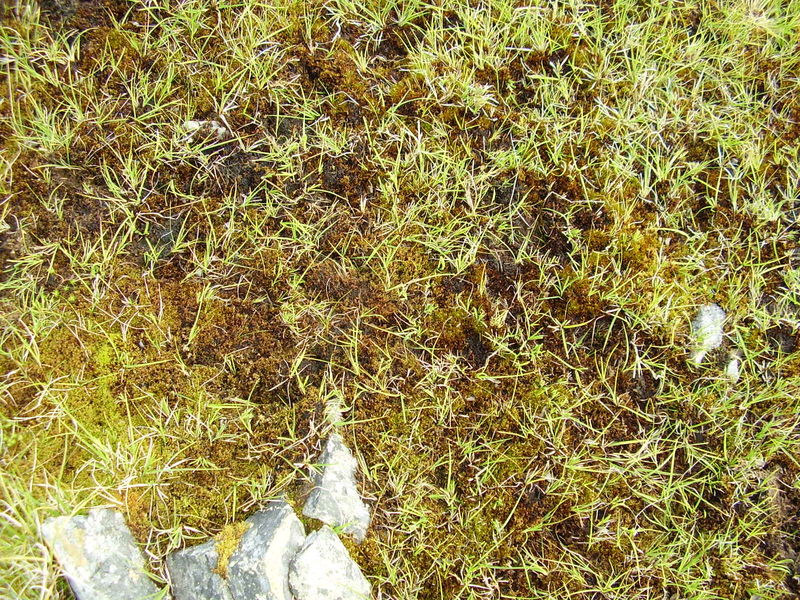 10-08-08 Grotfjord (17)