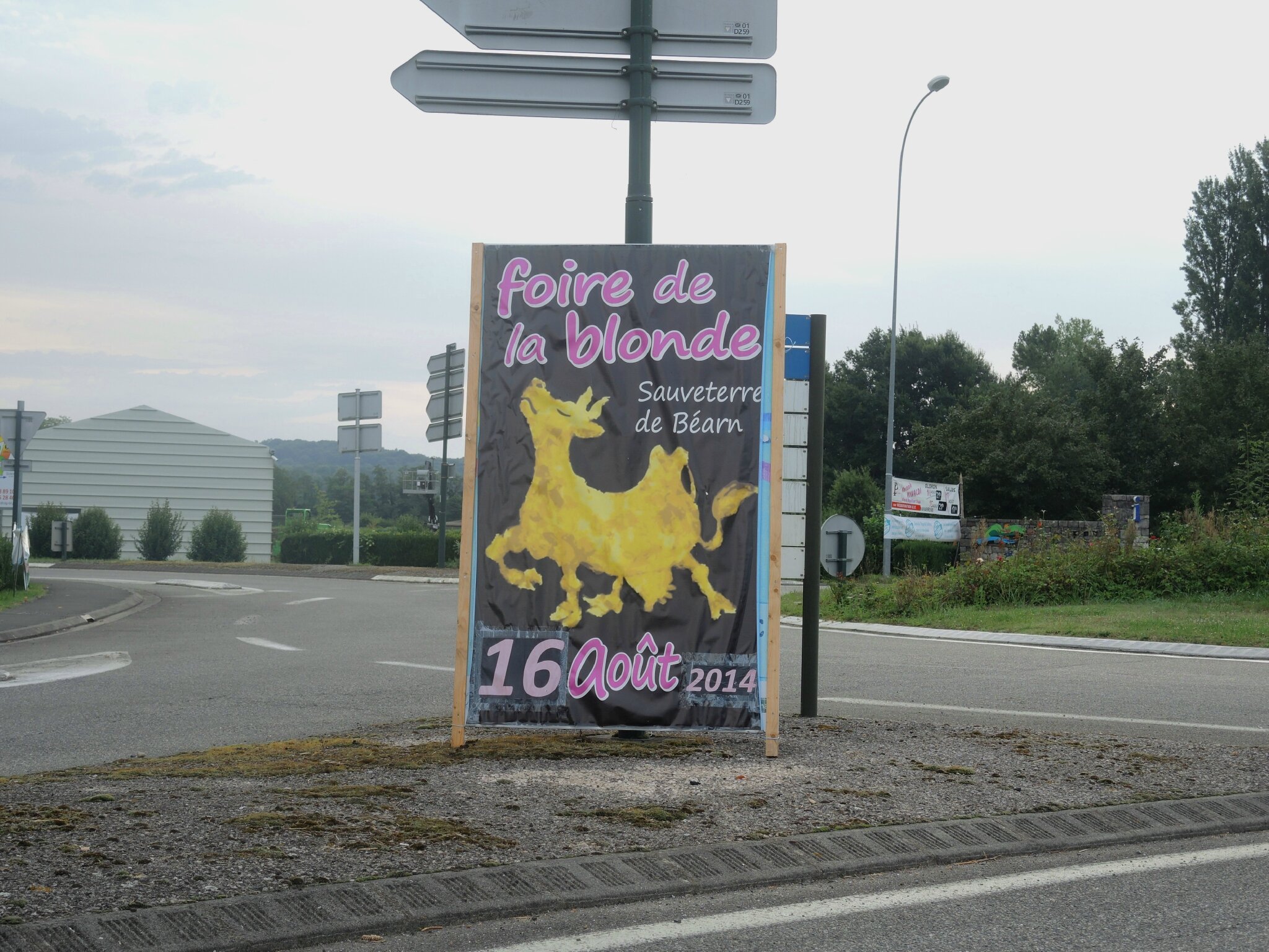 Sauveterre-en-Béarn, affiche (64)
