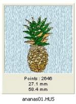 ananas01