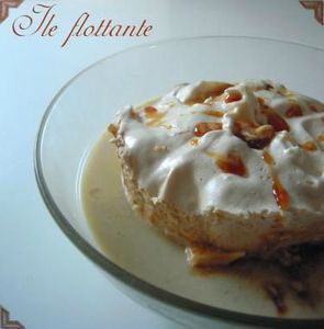 ile-flottante2