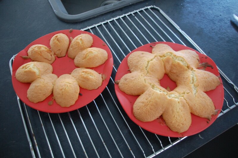 AM madeleines 1