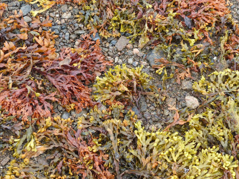 P1250719