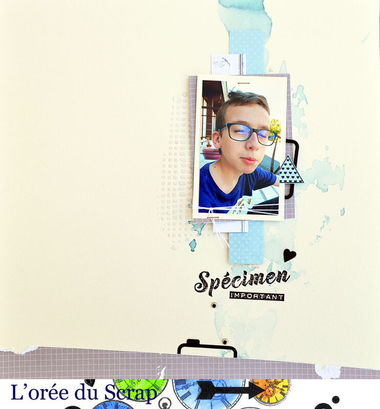 20 - Blogorel