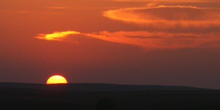 tallgrass_4