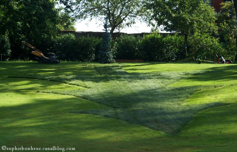 VAN 14 jardin solombre