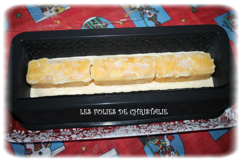 Bûche exotique 8