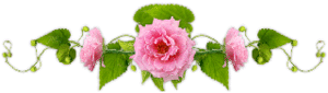 Gif barre grosses roses et feuillage volutes 320 pixels