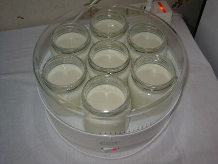 LES YAOURTS MAISON DE MADEMOISELLE recettes Elle ma choisie…