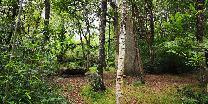 menhirs de Lespurit Ellen 5