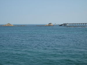 DSCF1463
