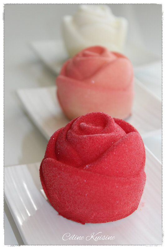 roseindividuelle1