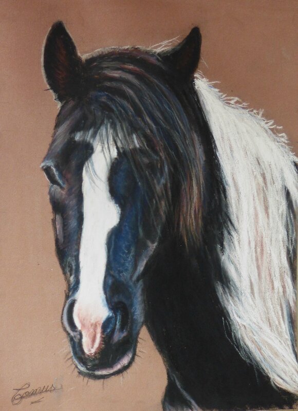 Lighting, cheval pie au pastel 18 x 24 cm