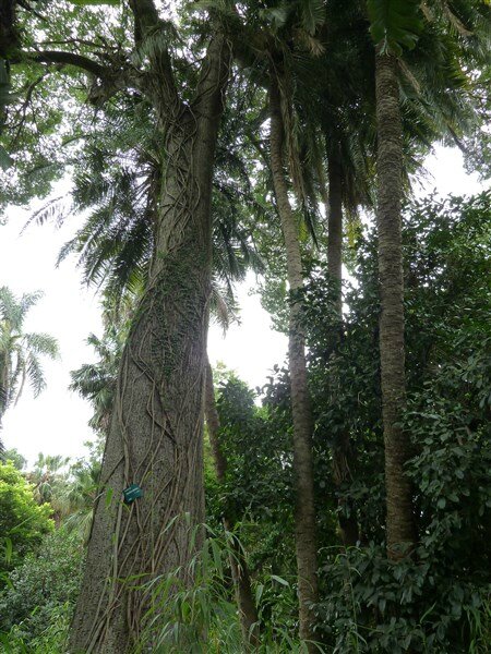 P1030856
