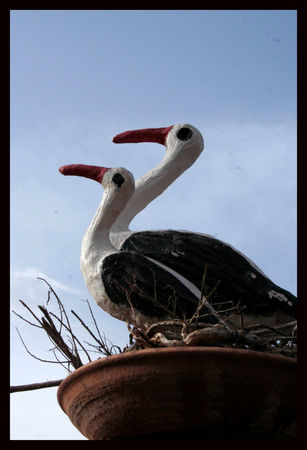 cigognes_1