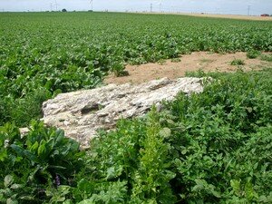 Dolmen_de_la_Pierre_Luteau_6