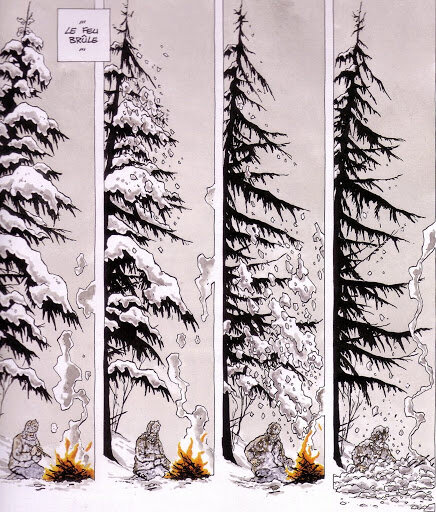 feu arbre