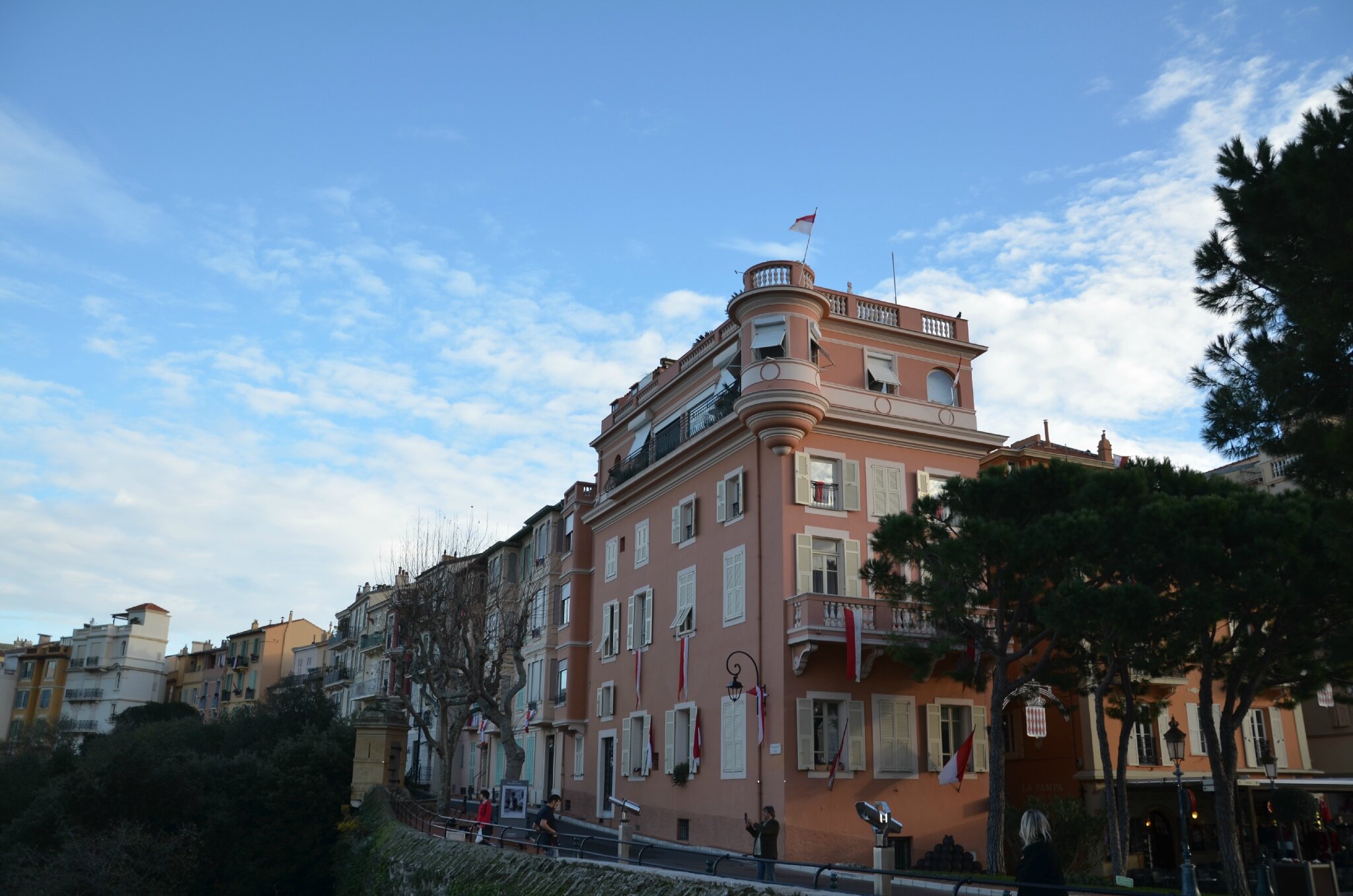 DSC_8806