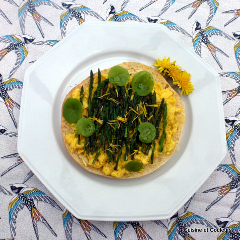 X_tartine_du_printemps_de_la_garrigue