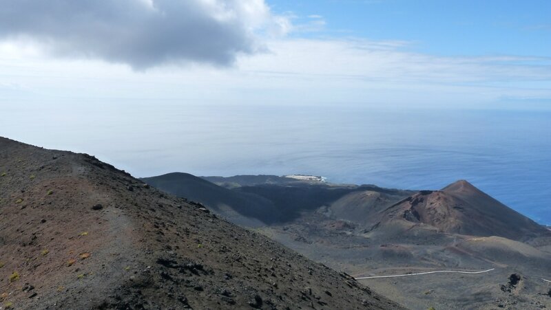 canaries11