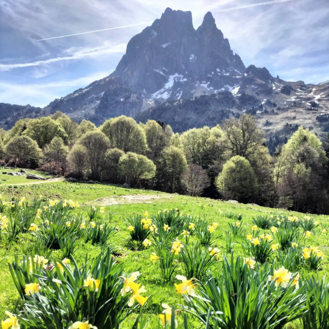 Lacs d'Ayous, Pic du Midi d'Ossau et jonquilles, insta (64)