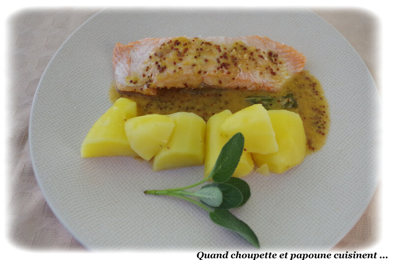 pavé de saumon sauce moutarde et cidre-495