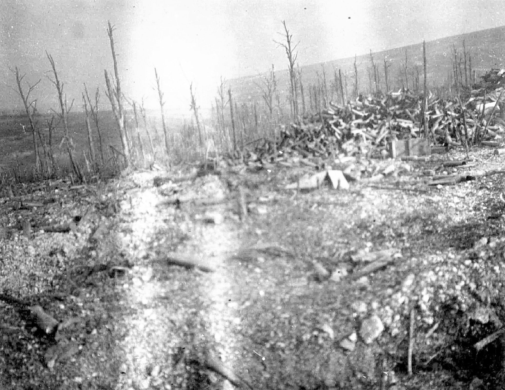 Album R. Verney p.131 gauche haut
