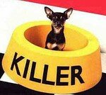 Killer_dog___BlingBling
