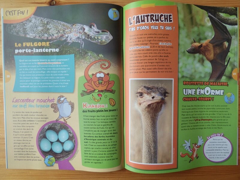 L'oiseau mag Jr (5)