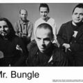 Mr Bungle